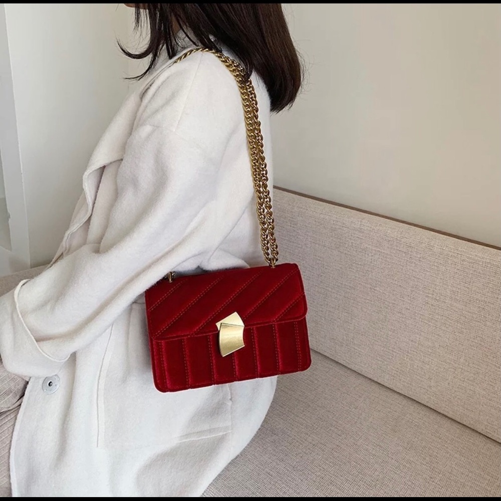 Velvet Purse! - Picture 3 of 6